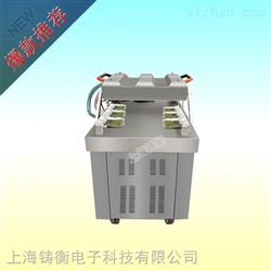 ZH-ZKJ-400豆干真空包装机双室